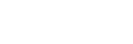 The BUG